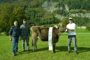 002Champion-Rind Anthony Elba von Albert Amgarten